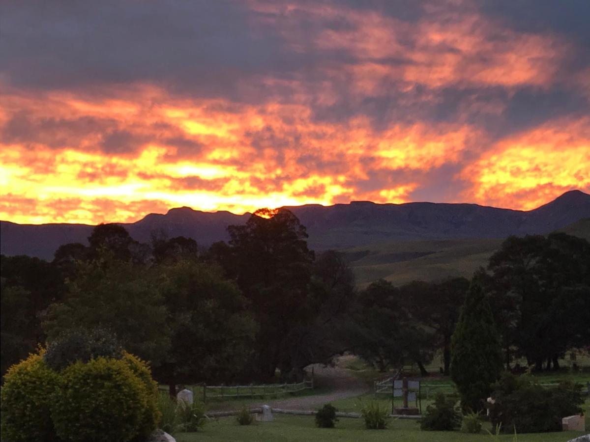 Berghouse And Cottages Langkloof エクステリア 写真